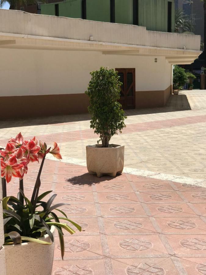 Apartamentos Provima Benidorm Esterno foto